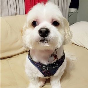 Meet your Posher, Knot